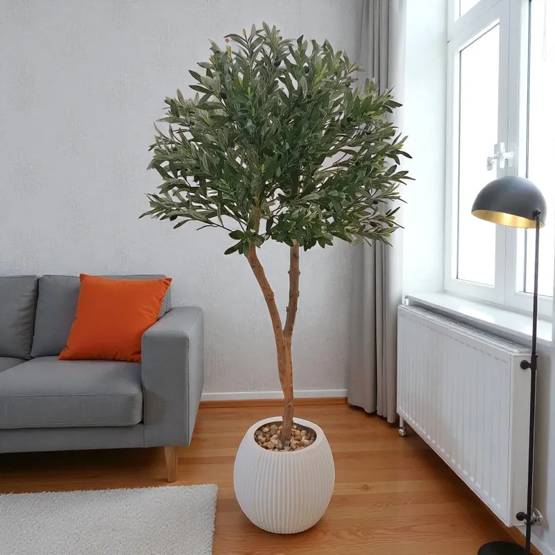 شجرة زيتون صناعية بوعاء أبيض أنيق تضيف لمسة طبيعية إلى غرفة المعيشة