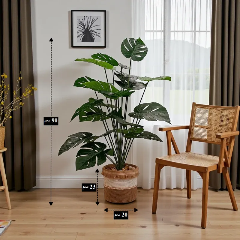 قياسات نبتة المونستيرا الصناعية: الارتفاع 90 سم وعرض الإناء 20 سم وارتفاعه 23 سم.