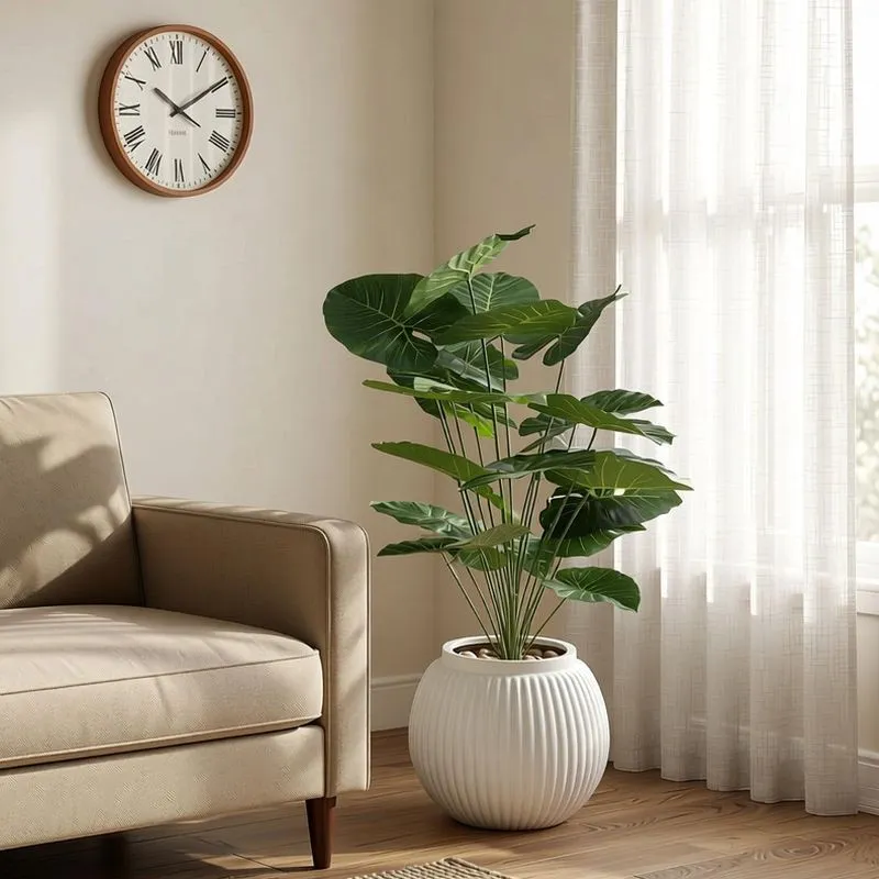 شجرة بوتس صناعية كبيرة بجانب أريكة بيج وساعة حائط في زاوية غرفة مضاءة